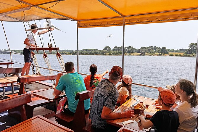 2-Hour Dolphin Guided Safari NP Brijuni from Fazana - Drinks, service, and the practical comfort level