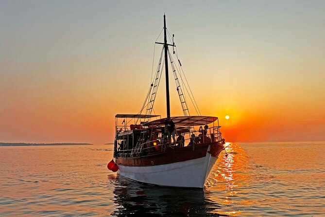 2-Hour Dolphin Guided Safari NP Brijuni from Fazana - Who will enjoy this cruise most?