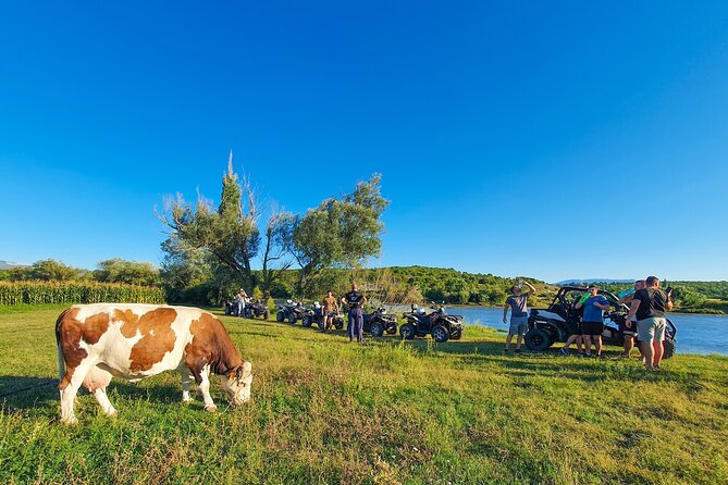 2 hours Beginner Quad Tour at Dalmatia Inland - Starting at Asteria Adventures in Bajagić