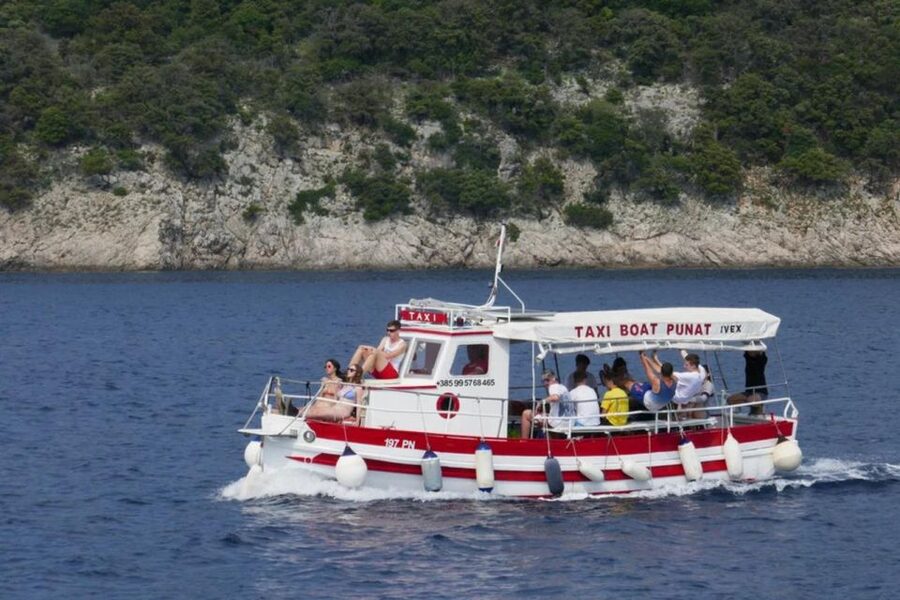 3,5h Wild Bays: Swim & Snorkel with Capt. Bobo (Public) - Key points to know before booking