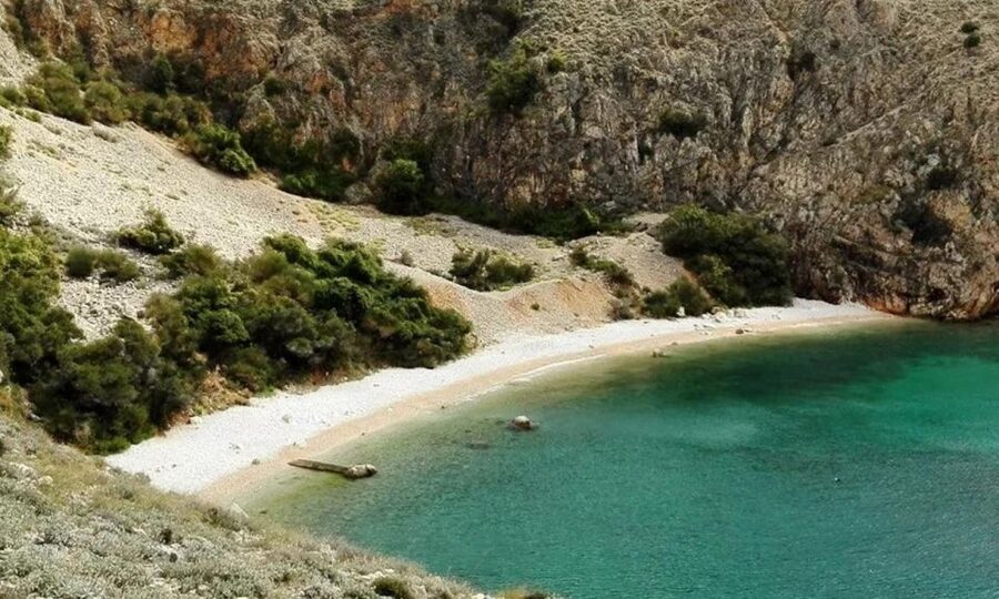 3,5h Wild Bays: Swim & Snorkel with Capt. Bobo (Public) - From Punat toward Stara Baška