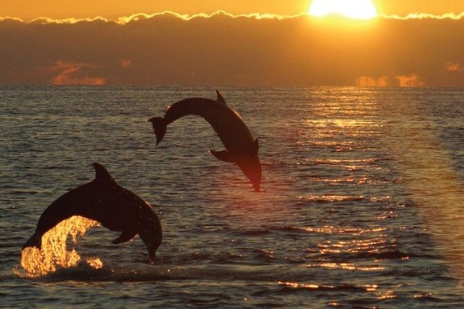 3hours all inclusive Sunset&Dolphin Tour from Medulin on Sandra - Key points before you book