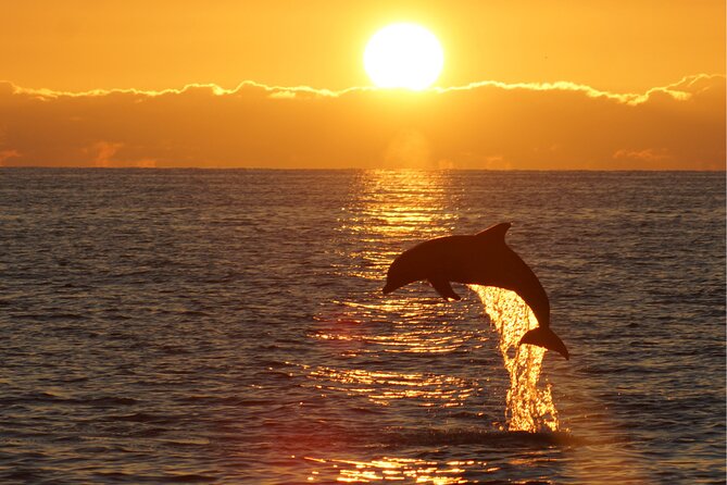 3hours all inclusive Sunset&Dolphin Tour from Medulin on Sandra - The Porer lighthouse and the Adriatic sunset
