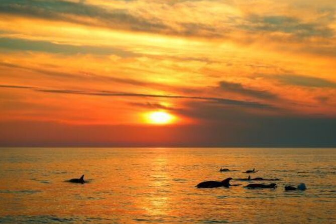 3hours all inclusive Sunset&Dolphin Tour from Medulin on Sandra - Music, crew, and the mood onboard