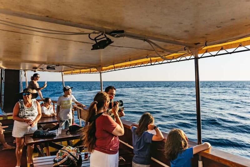 3hours Dolphin Sunset watching with unlimited drinks +dinner - Porer Lighthouse, an isolated Adriatic marker