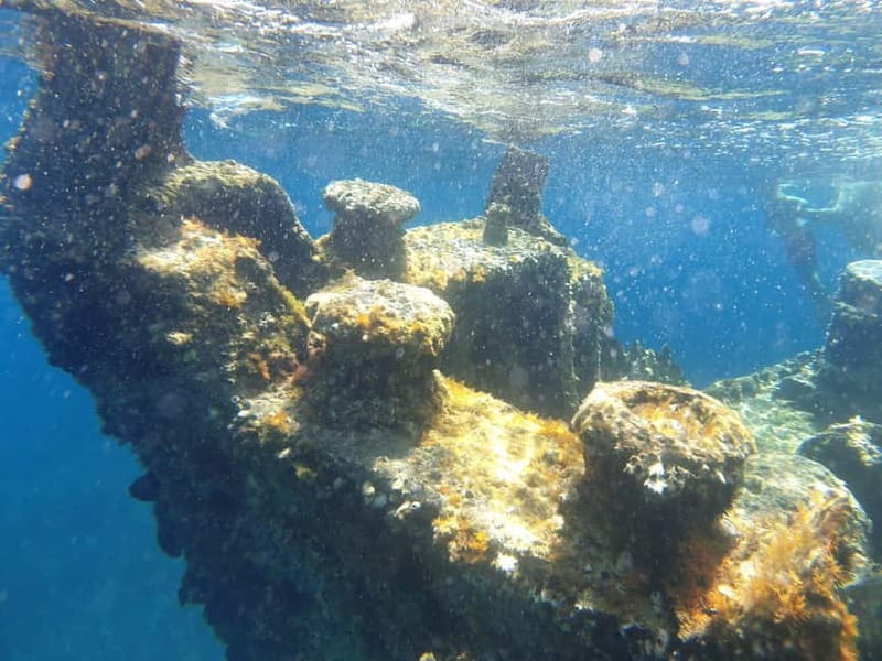 4 Jewels of Zadar, Dugi otok, sunken ship - Half day - Price and overall value