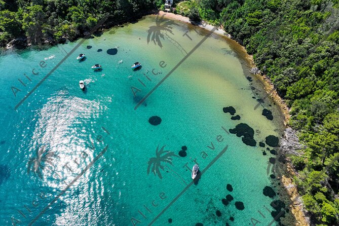 Adrenaline Adventure on Speedboat with 3 stops and Snorkeling - Snorkeling, drinks, and what you need to carry