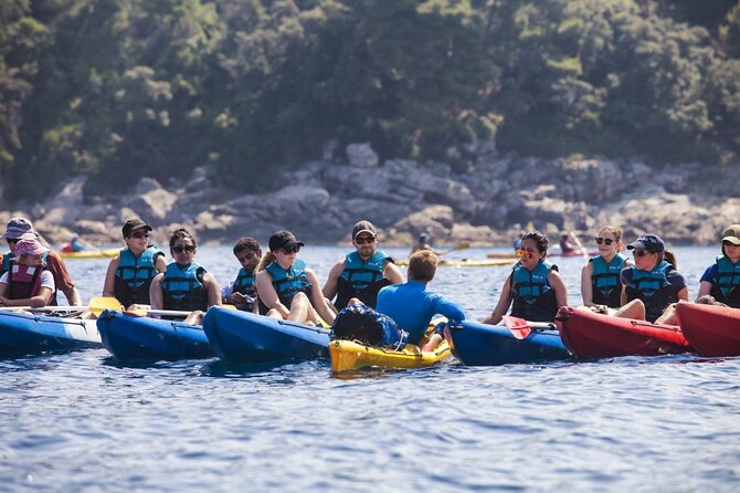 Afternoon Kayaking in Dubrovnik - Starting at Ul. od Tabakarije 1