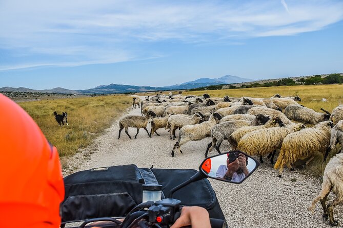ATV Dinara Mountain tour with picnic - A private tavern picnic with local food
