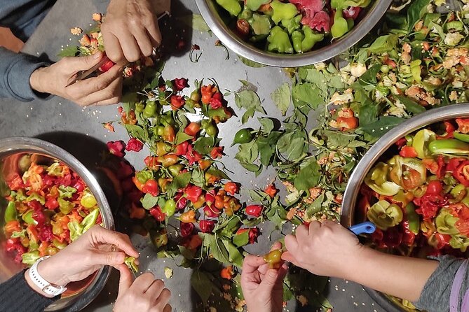 Authentic Garden to Table Cooking Class in Dubrovnik Countryside - Goat milking and the less polished side of rural food