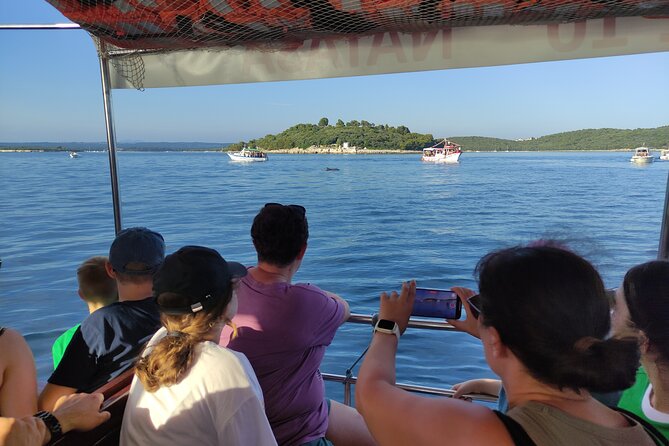 Beautiful Sunset and Dolphin Watching - What is included, and what you should bring
