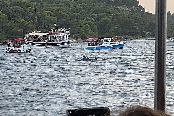 Beautiful Sunset and Dolphin Watching - How the duration works in real life
