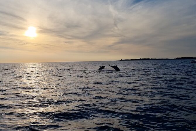 Beautiful Sunset and Dolphin Watching - Is $36.30 a fair price?