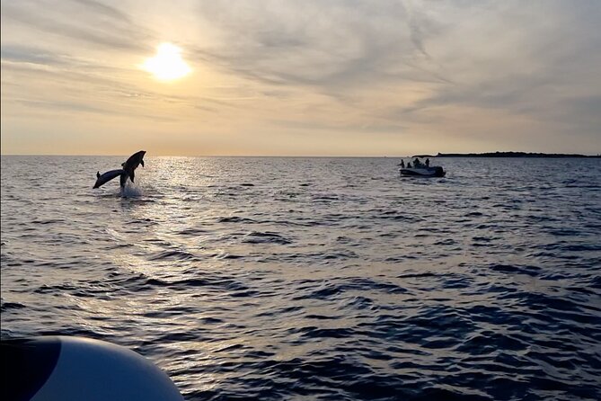 Beautiful Sunset and Dolphin Watching - What the Brijuni waters add to the trip
