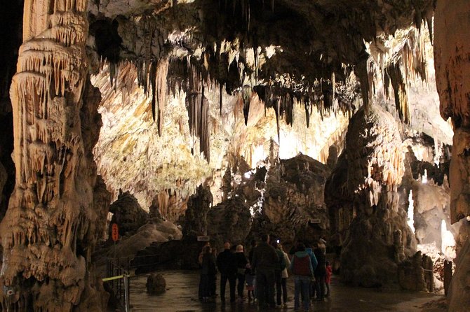 Best of Slovenia: Bled, Postojna, Ljubljana Day Tour from Zagreb - What the $238.85 Price Really Buys
