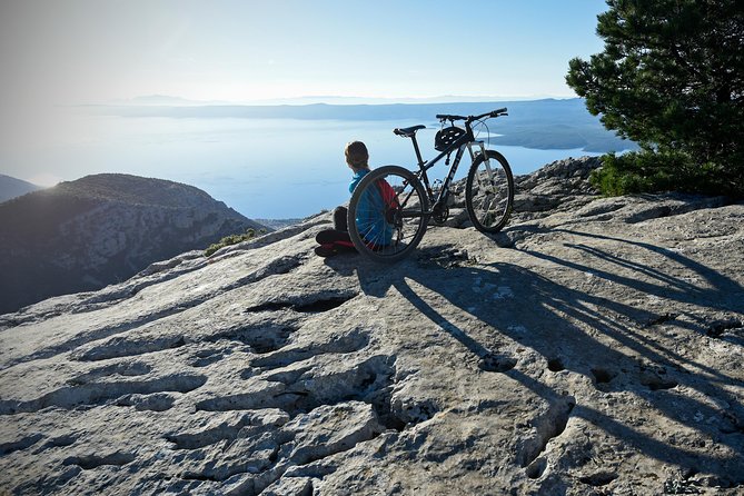 Biking Vidova - Skrip & museum of olive oil - Splitska - Postira - Riding beneath Brač’s black pines