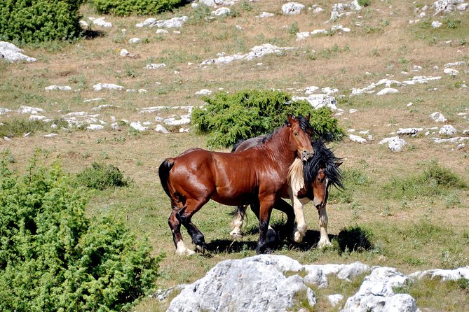 Biokovo Skywalk - Who should book this excursion?