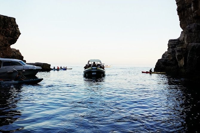 Blue Cave | 5-Hour Afternoon Sea Safari - Should you book the Blue Cave afternoon tour?