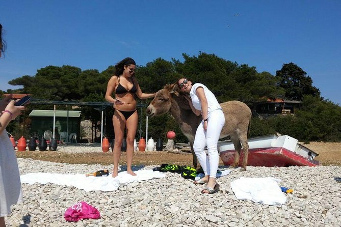 Blue Cave, Hvar and Five islands - Small-Group Tour From Split - Small group claims and comfort on the boat