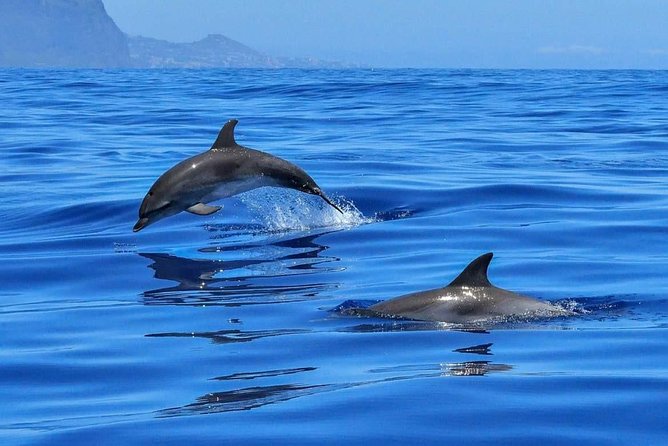 BLUE LAGON & 3 islands full day private speedboat tour - Key points to know before booking