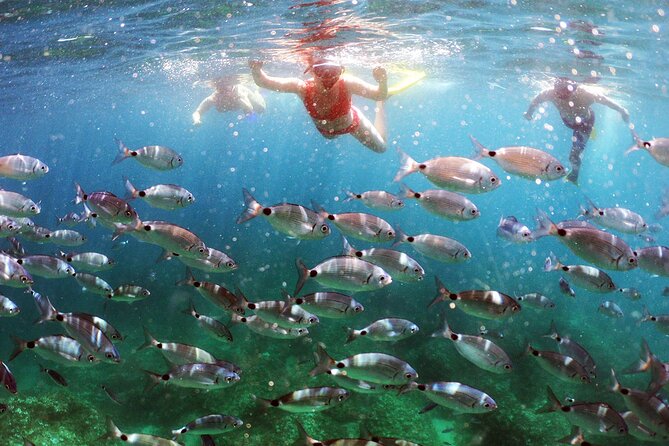 BOAT & KAYAK! Sea Adventure - Snorkeling & Cliff Jumps - Key points to know before you go