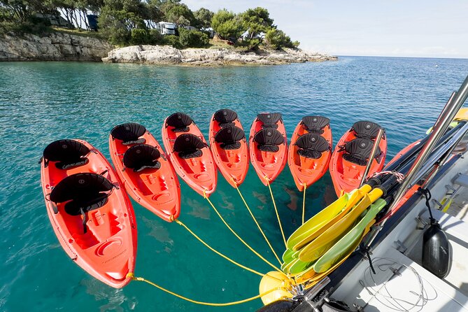 BOAT & KAYAK! Sea Adventure - Snorkeling & Cliff Jumps - How much value do you get for $60.46?