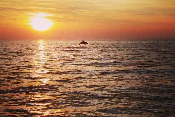 Boat tour swimming snorkeling south Istria Kamenjak Premantura - Who will enjoy this boat tour most?