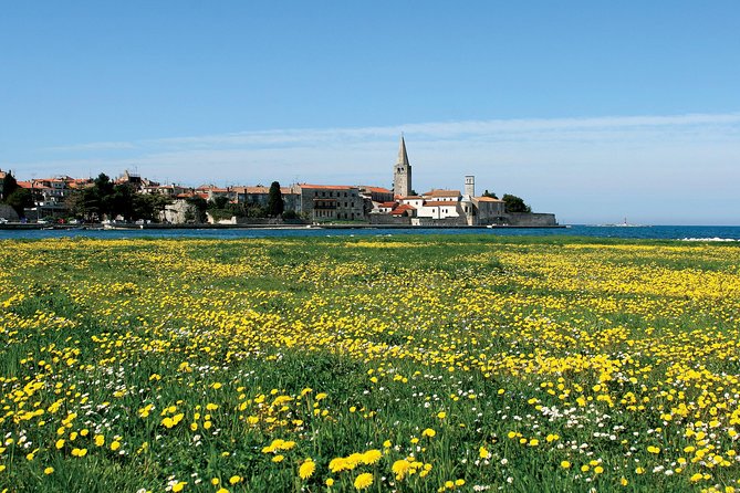 Boat trip to Rovinj and Vrsar from Poreč with lunch - The Lim Bay and the cruise toward Vrsar