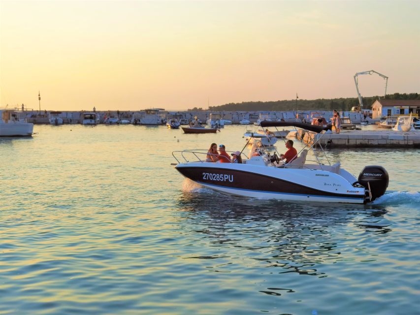 Brijuni Islands: Sunset & Dolphins private boat tour - Key points before you book