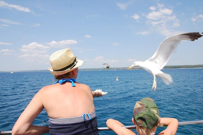 Brijuni National Park Boat Excursion from Pula. With a visit to the island - St. Jerolim Island and the two-hour beach stop