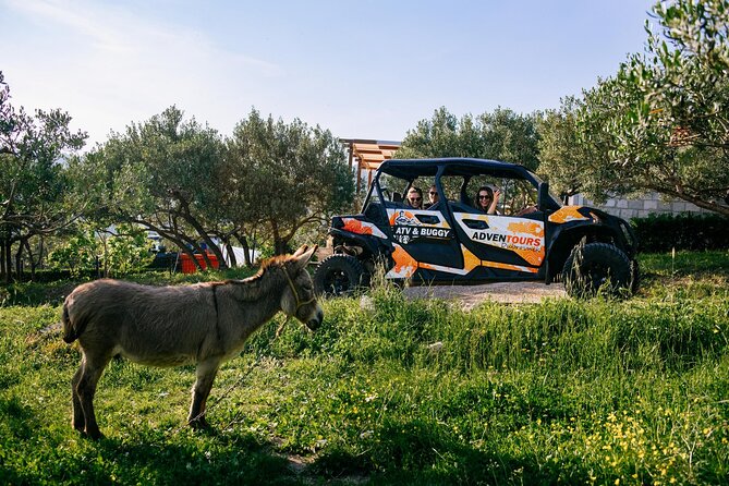 Buggy Dubrovnik Safari Tour (Private) - Fort Imperial links Napoleon’s era with modern Croatia