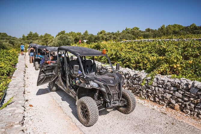 Buggy Safari With Wine Tasting - Why this safari is a good fit for Korcula
