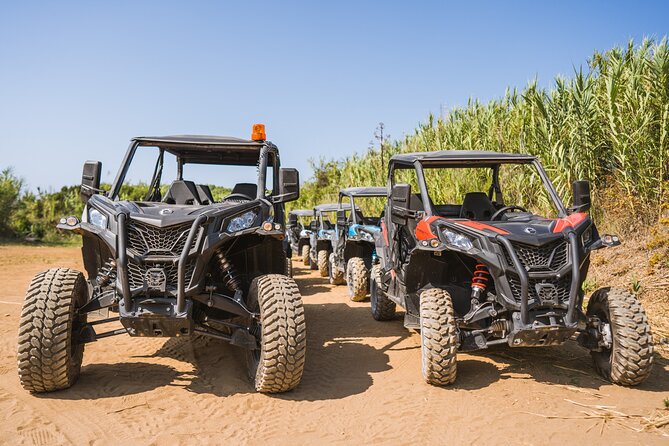 Buggy Safari With Wine Tasting - Riding through vineyards and olive groves