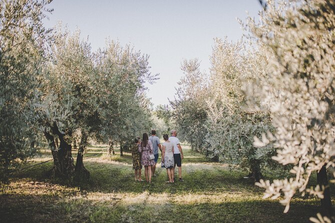 Buje: Authentic Istrian family farm, guided walk, foods & wine - Why the family welcome matters