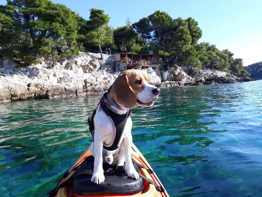 Cavtat: 'Pomalo' Guided Sea Kayaking Tour - Paddling around Cavtat’s peninsula
