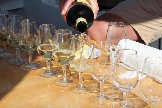 Classic Tour with Wine Tastings from Dubrovnik - Ston’s walls, salt, and a short town stop