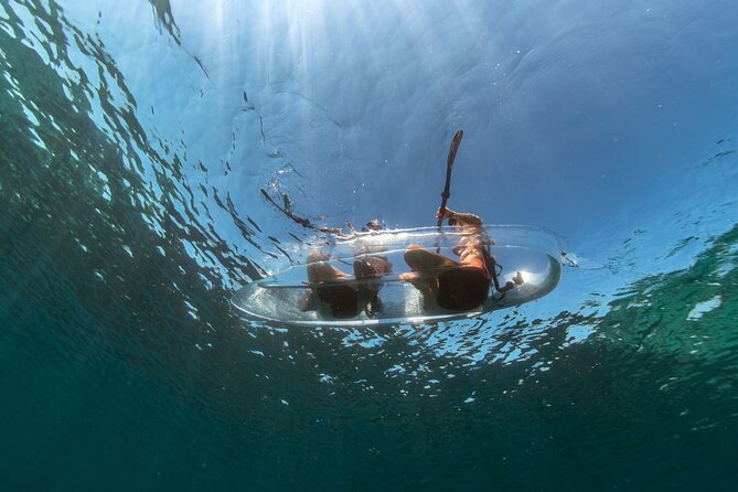 Clear Kayak Tour to Canyon, Island Cliffs & small Cave - Watching marine life through the kayak floor