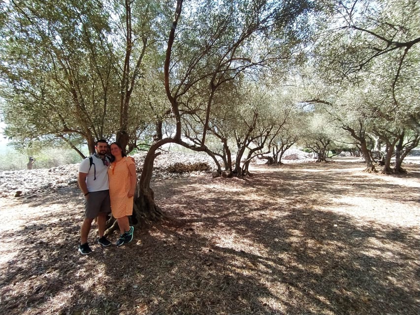 Cres: Olive Oil Walking Tour with Tastings - Why the $47 price can be good value