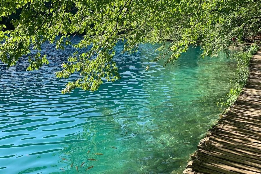 Croatia: Plitvice Lakes Private Tour with Hotel Pickup - Why a private Plitvice tour can be worth the money