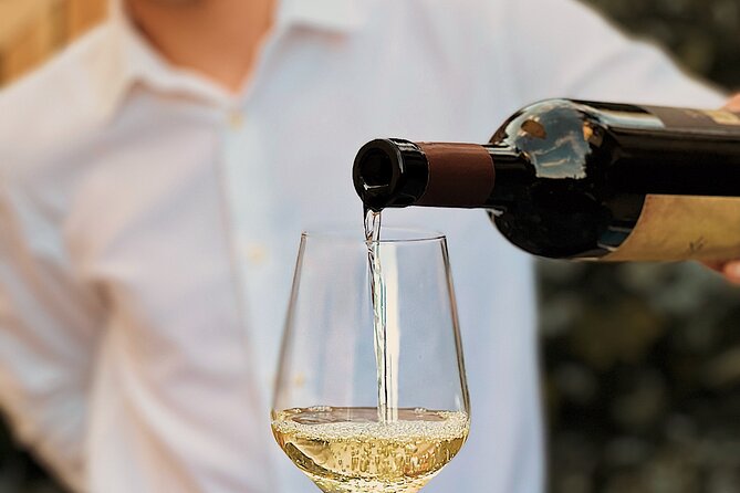 Dalmatian wine tasting by Bottiglia wine & deli - What $54.07 buys you