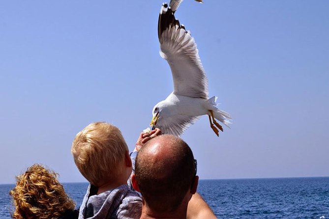 Day Cruise in the Elafiti Islands from Dubrovnik - How much value you get for $78.44