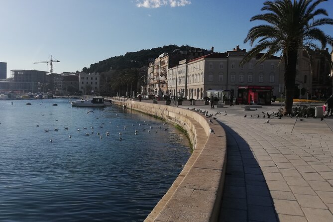 Diocletian's Palace Small Group Tour in Split - The Vestibule and its striking geometry