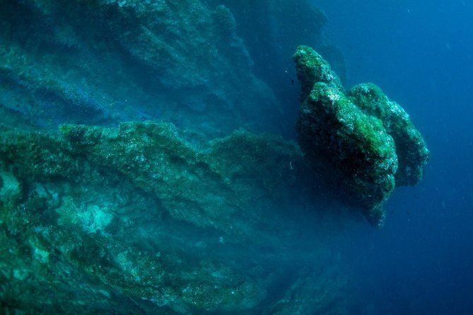 Diving day tour with 2 dives - The human side: Jacob’s careful help