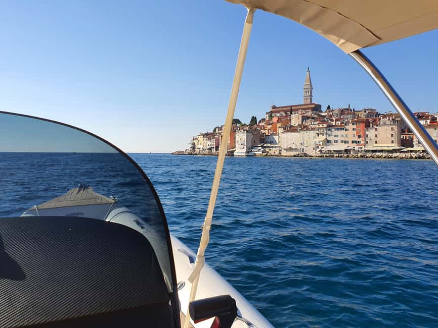 Dolphin safari every evening - Key points before you book