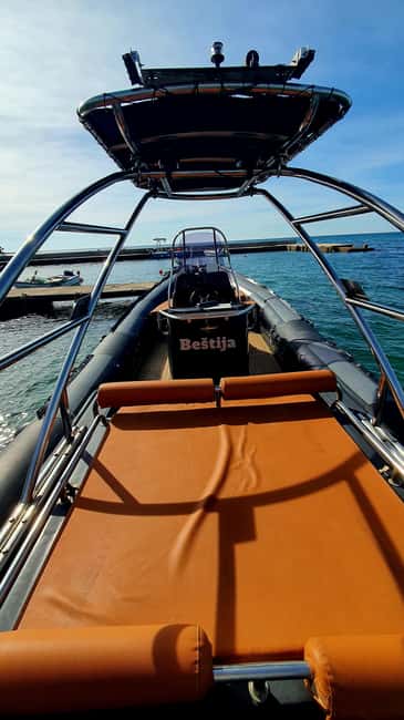 Dolphin safari every evening - Should You Book the Istrian Dolphin Safari?