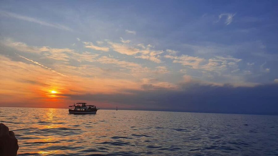 Dolphin safari every evening - Setting Out Along the Istrian Coast