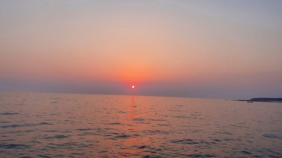 Dolphin safari every evening - Hiring the Boat With or Without a Skipper