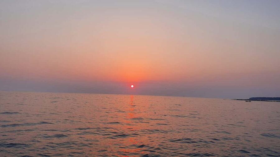 Dolphin safari every evening - Price and Overall Value at $35