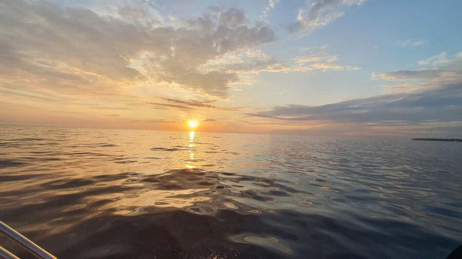Dolphin safari every evening - Who Will Enjoy This Most