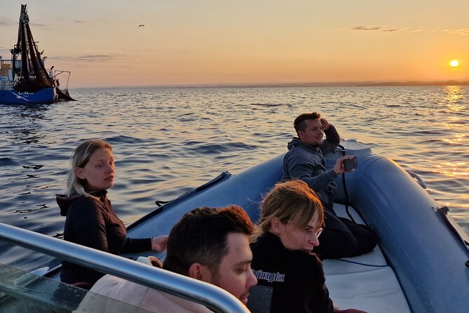 Dolphin Sunrise Adventure with Speedboat - A guide who adds context